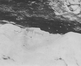 ALB 01 53P