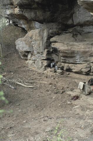 Open original Digital object