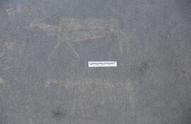 ALB 02 7