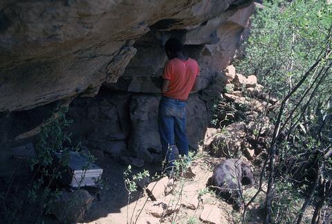 Open original Digital object