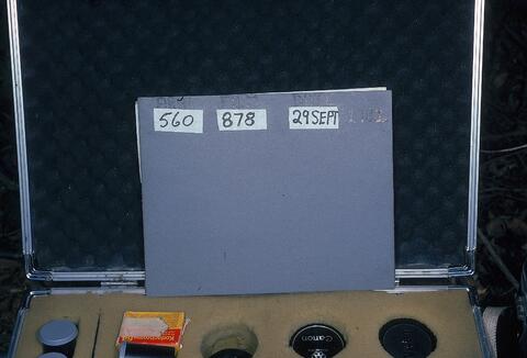 Open original Digital object