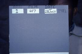 LES HAB1 390