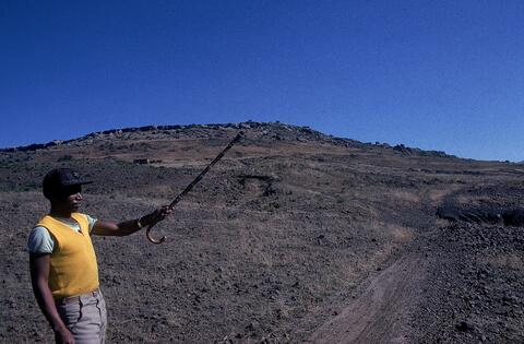 Open original Digital object