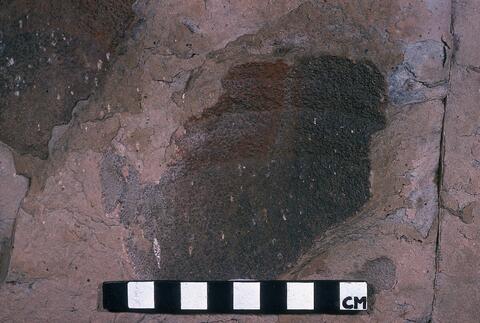 Open original Digitaal object