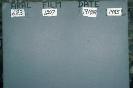 LES HLA4 1