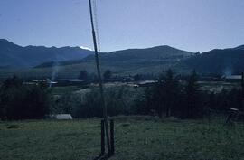 LES DCF1 15