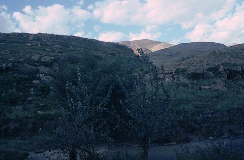 Open original Digital object