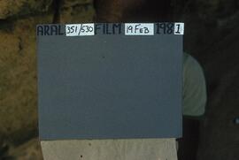 LES THT1 1