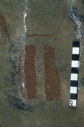 LES MTM1 135