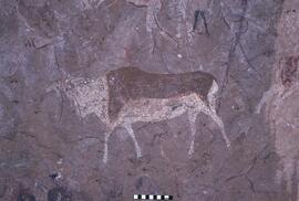 LES HAM1 473