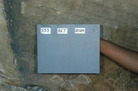 LES SEL3 1