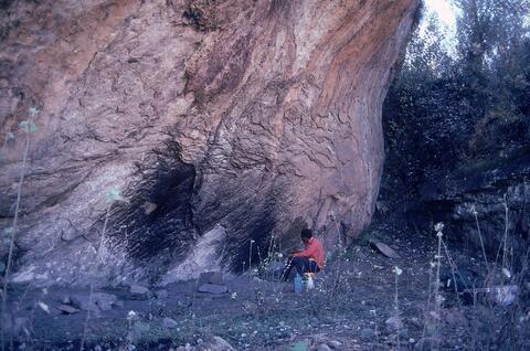 Open original Digital object