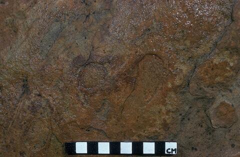 Open original Digitaal object