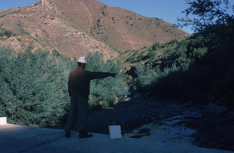 Open original Digital object