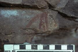 LES LHJ1 16