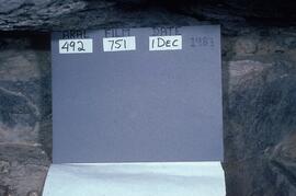 LES LRP1 58