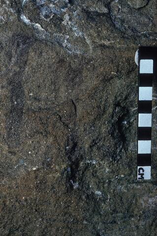 Open original Digitaal object