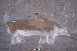 LES HAM1 461