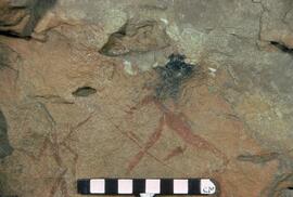 LES LAT1 106