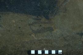 LES KHN1 10