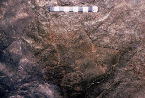 Open original Digitaal object