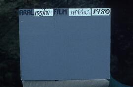 LES TLR1 1