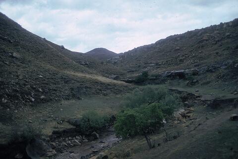 Open original Digital object