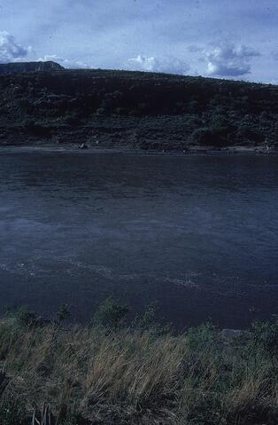 Open original Digitaal object