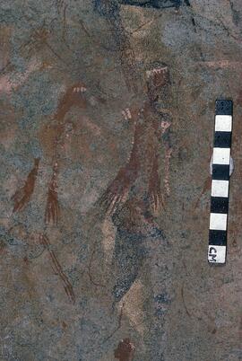 LES MTM1 141