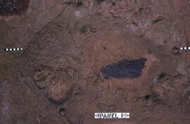 LES HAM1 585