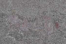 BBR 01 79