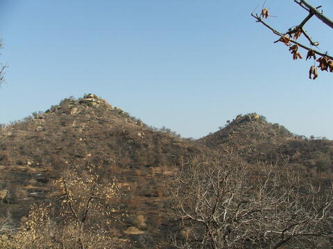 Open original Digital object