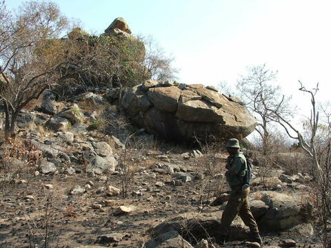 Open original Digital object