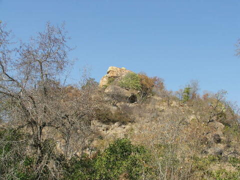 Open original Digital object