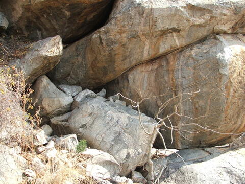 Open original Digital object