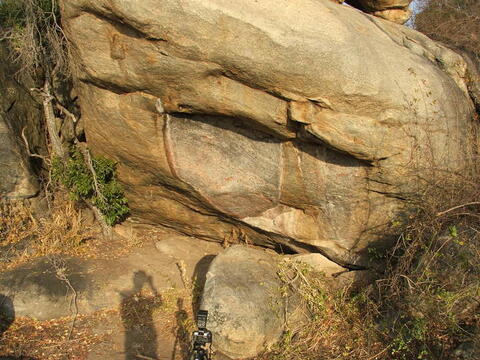 Open original Digital object