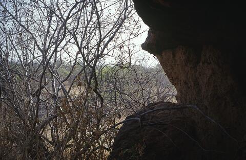 Open original Digital object