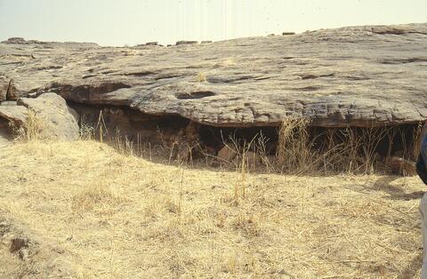 Open original Digital object