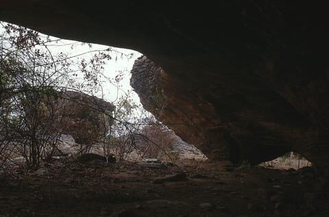 Open original Digitaal object