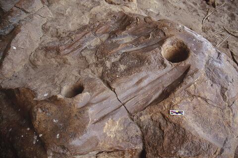 Open original Digital object