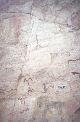 Open original Digitaal object