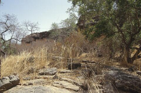 Open original Digital object