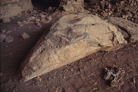 Open original Digital object