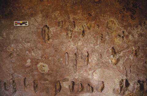 Open original Digitaal object