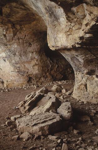 Open original Digitaal object