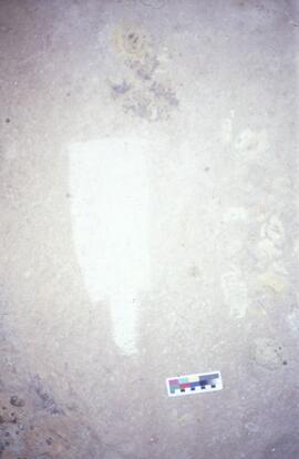 CNK MLI NUH2 201