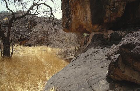 Open original Digital object