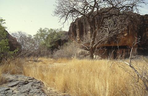 Open original Digital object