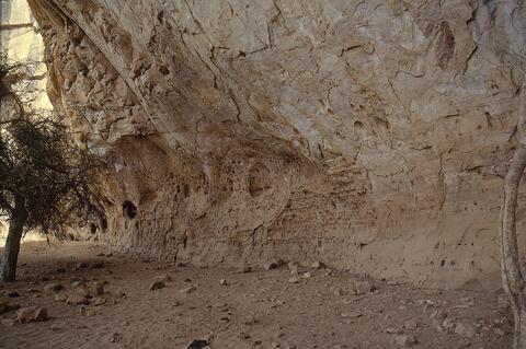 Open original Digitaal object