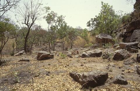 Open original Digital object